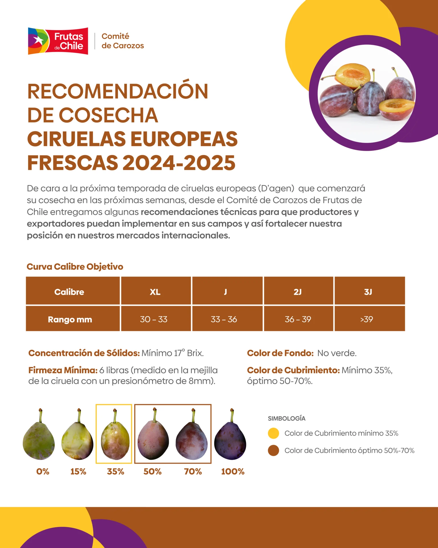 recomendacion calidad ciruela europea dagen sugaplum