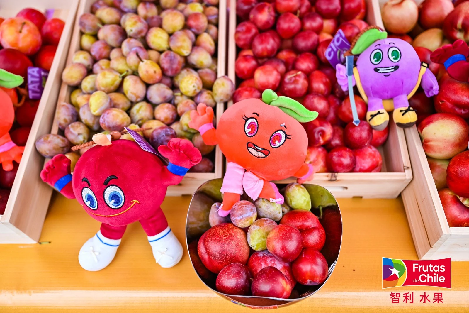 Promoción de Carozos Chilenos en China 2025