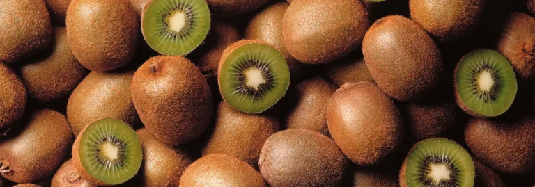 kiwi chile