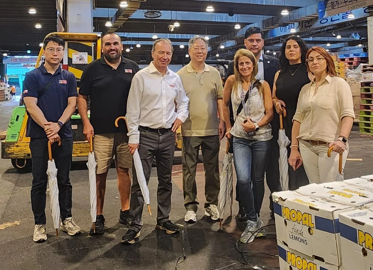 Mercado Mayorista de Corea del Sur 