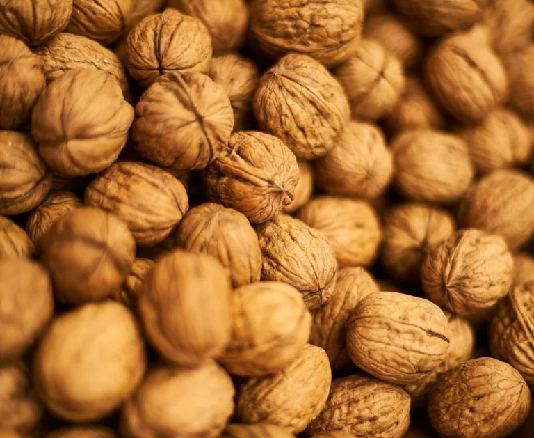 nueces