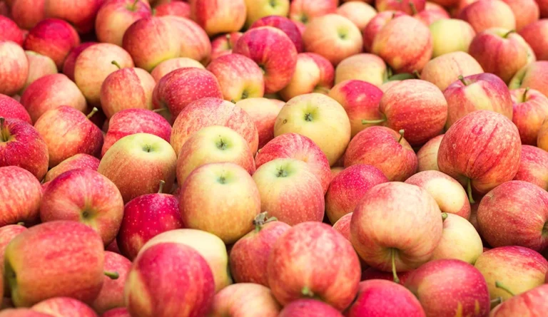 manzanas argentinas