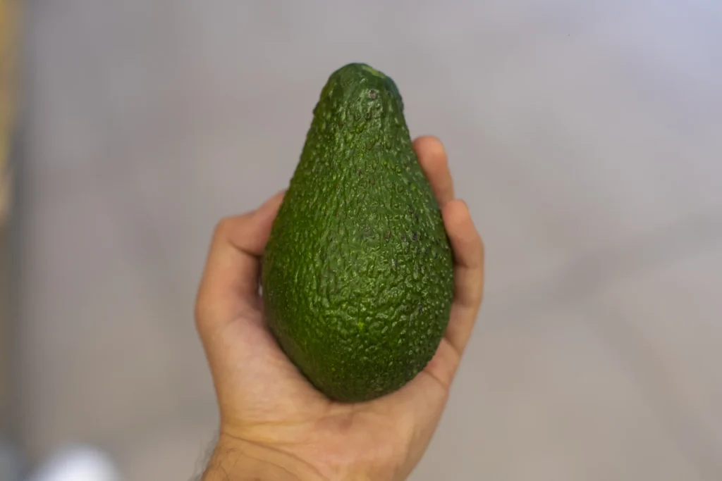 Palta-aguacate