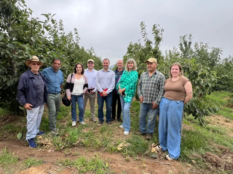 Pierre-Adrien Romon, agregado agrícola de Francia para Chile, Argentina y Brasil durante su visita a un campo de cerezas en Talagante, junto a funcionarios de Agroseguros, Indap y Ministerio de Agricultura, Agroalimentación y Soberanía Alimentaria de Francia.