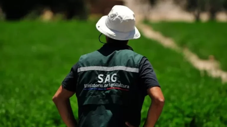 Funcionario del SAG. Créditos: Agencia Uno