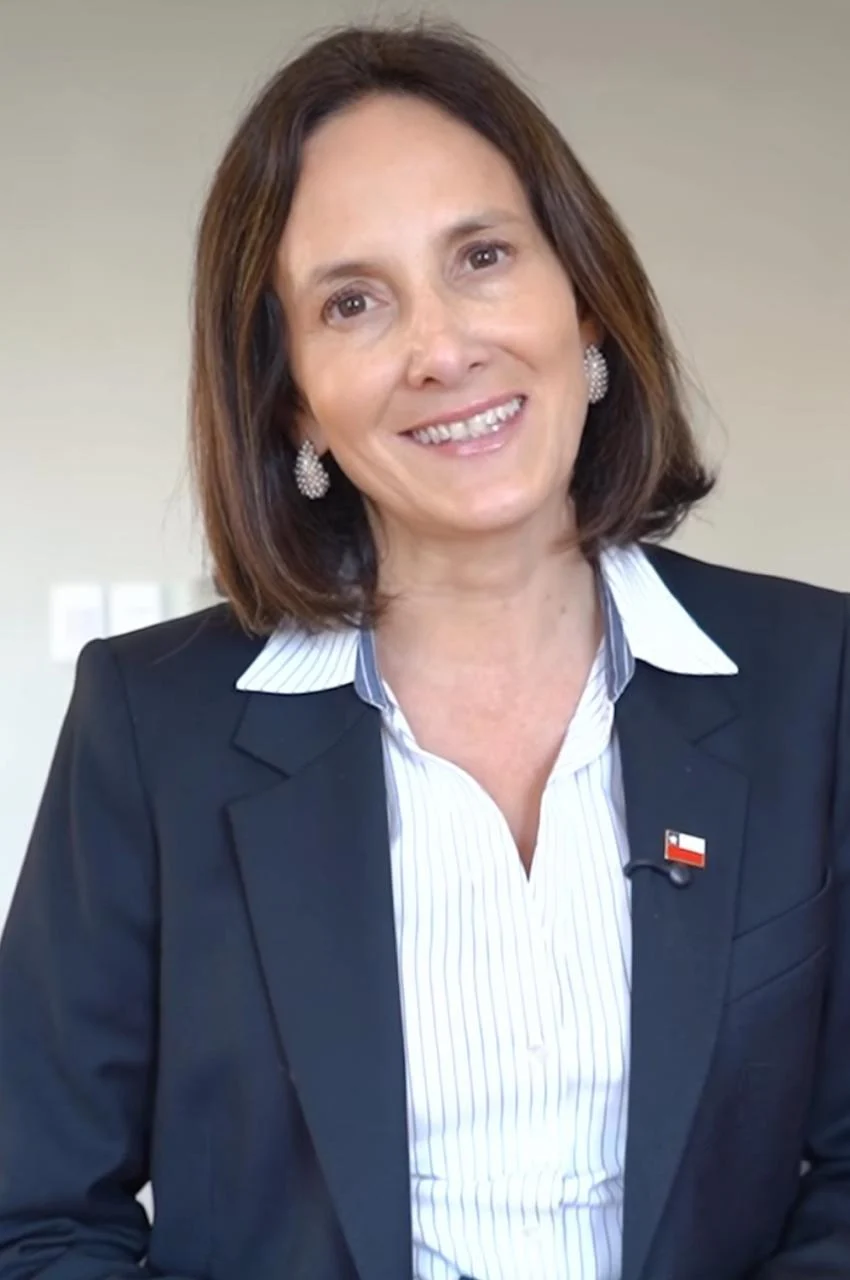 Subsecretaria de Relaciones Económicas Internacionales de Chile, Paula Estévez