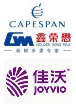 fusionChina