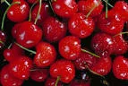 cerezas4