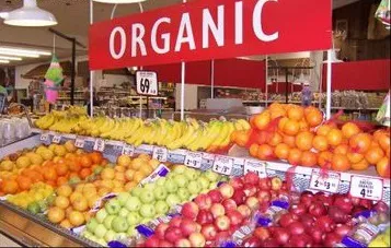 organicosfrutas234