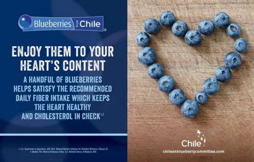 promocionarandanosdechile-usa