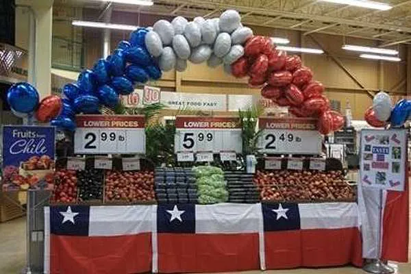 frutasdechileexhibiciones