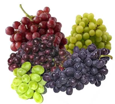 uvas32