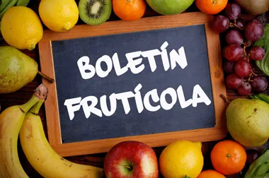 boletin fruticola