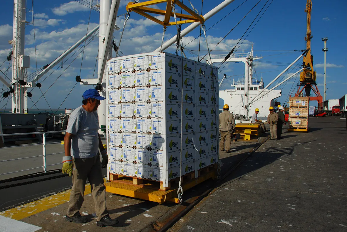 exportacionesdefrutas