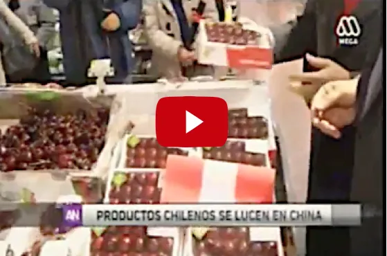 MisionChinayCoreadelSurSimFRUIT-TV.jpg