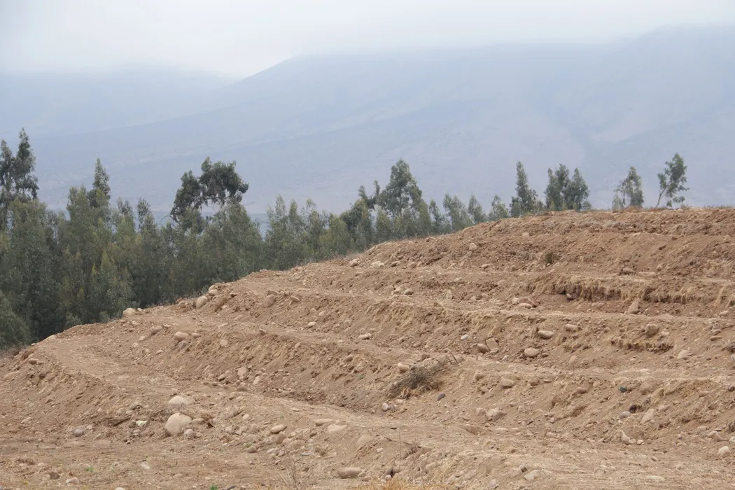 suelos-SAG
