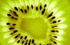 kiwis3