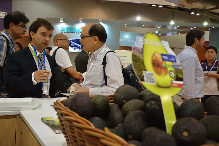 AFL-2015-Palta