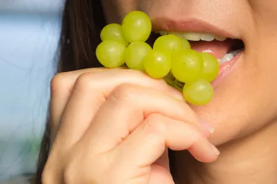 ErnährungsplanErfahrungen