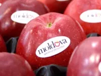 Manzanas Rusia