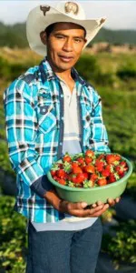 agricultor-hondureno