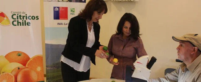 Taller-ComitedeCítricos-INIA