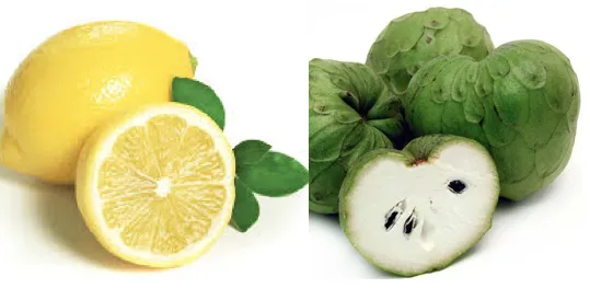 limonesychirimoyas