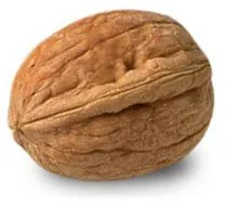 nuez fruto