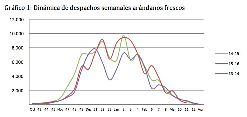 dinamicadespachos