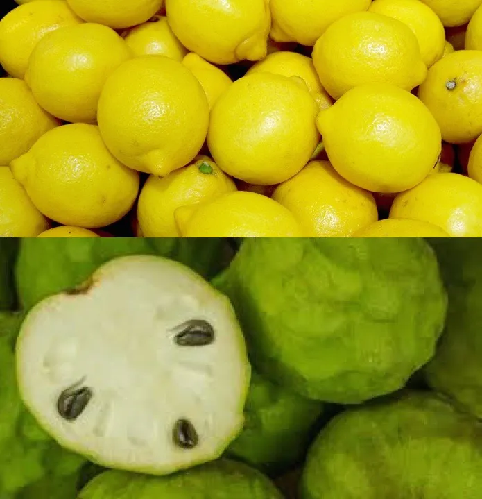 limonesychirimoyas