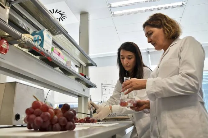 IRTA-Investigacion