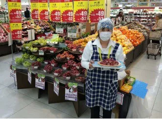 JAPON3