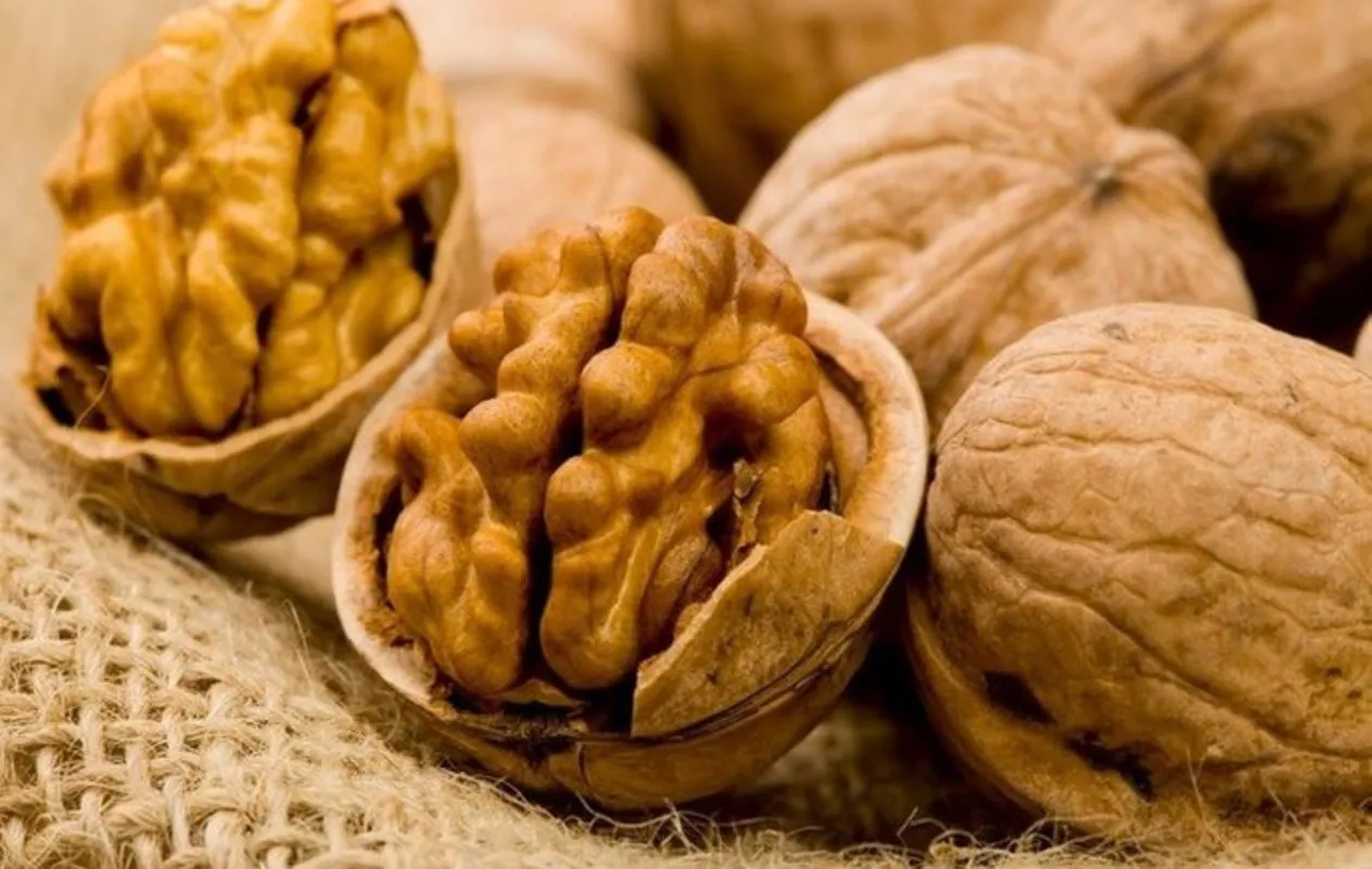 Nueces343