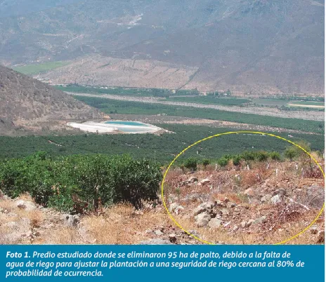arranquedepaltos