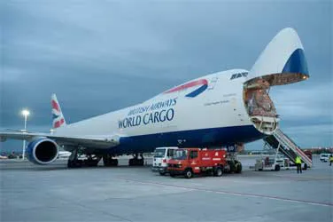 iagCArgo-BA