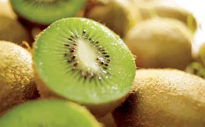 KIWIS23