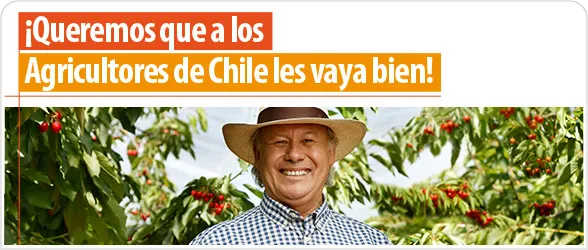 bancoestado-creditoagricola