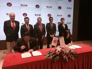 firmaalibabadirecon-prochile