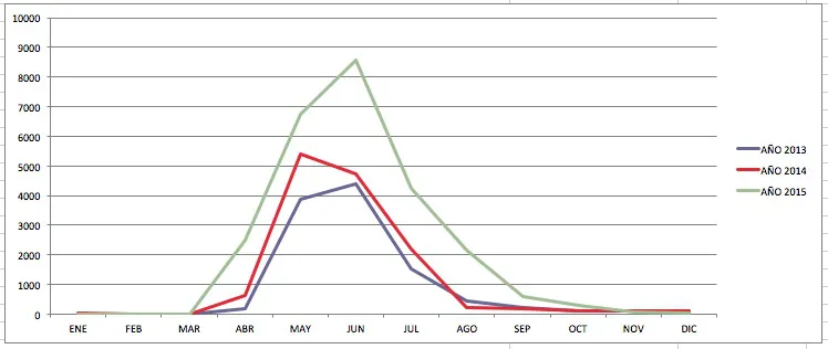 graficonuez