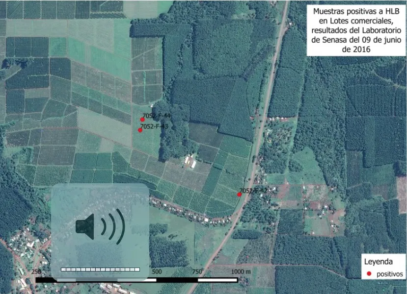 senasa-mapa-HLB
