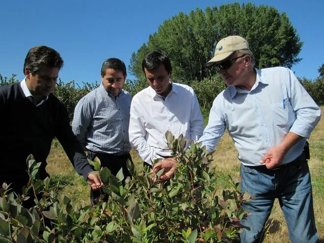predio-organico-los-rios
