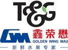 tg2
