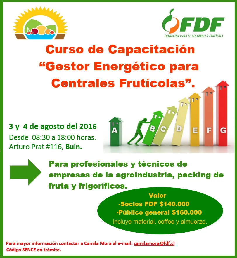 FDF-SEMINARIO