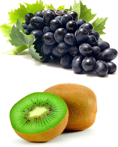 uvasykiwis