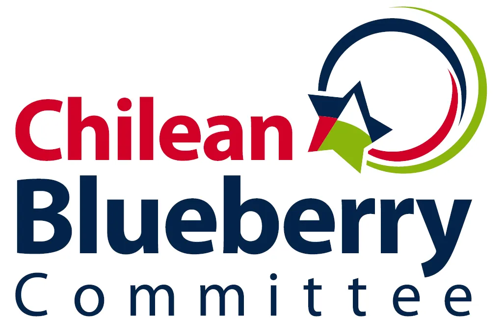logo-comite-chile-nuevo