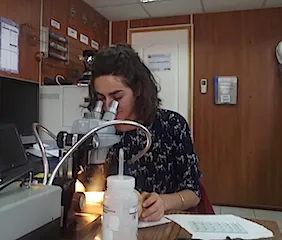 LAb-Fosfoquim