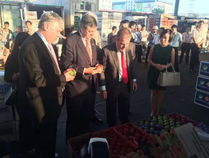 Mercado-Mayorista-2016