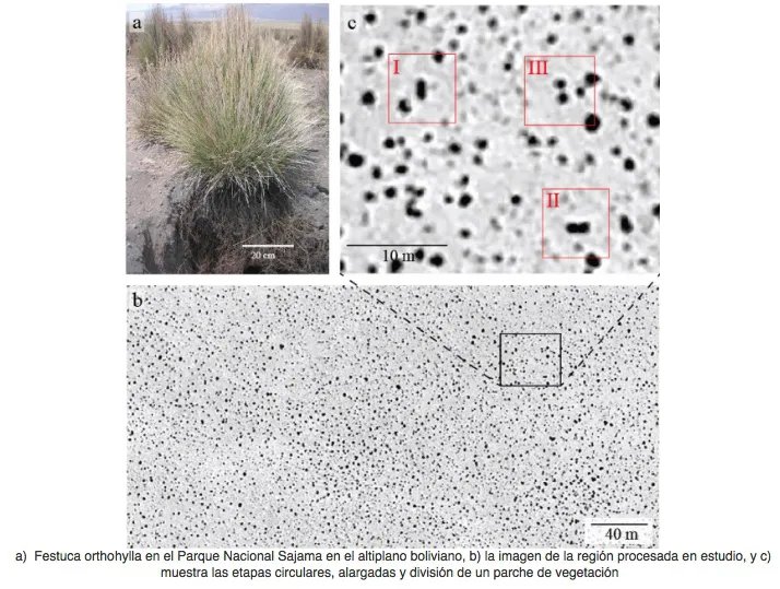 estudio-Fisica-arido