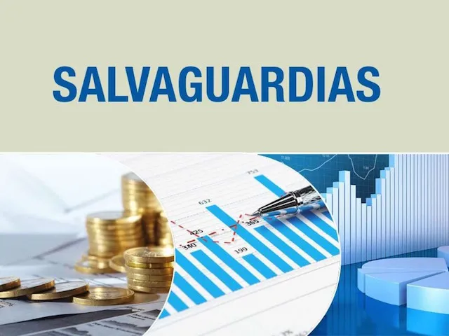 Salvaguardias