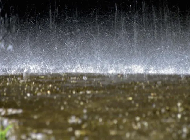 precipitaciones